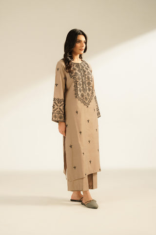 2 Piece Cotton Silk Embroidered (CS0385)