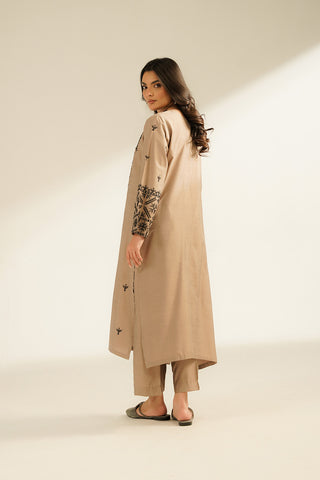 2 Piece Cotton Silk Embroidered (CS0385)