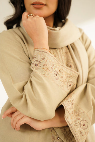 3 Piece Cotton Karandi Embroidered Suit (CS0393)