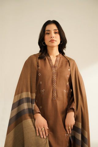 2 Piece Cotton Karandi Embroidered Suit (CS0405)