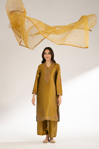3 Piece Cotton Silk Embroidered Suit (CS0417)