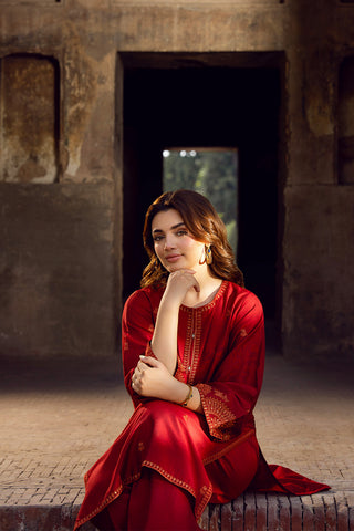 2 Piece Cotton Silk Embroidered Suit (CS0429)