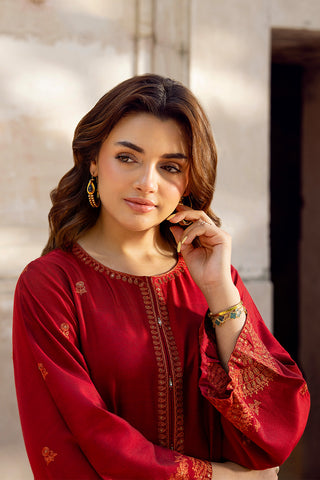 2 Piece Cotton Silk Embroidered Suit (CS0429)