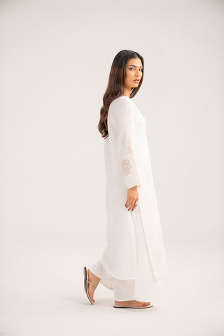 2 Piece Lawn Embroidered Suit (CS0443)