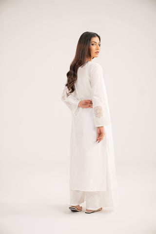 2 Piece Lawn Embroidered Suit (CS0443)