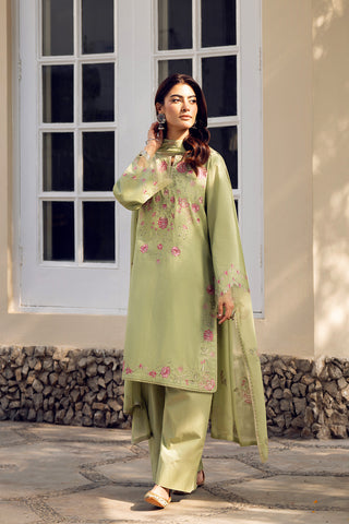 3 Piece Lawn Embroidered Suit (CS0512)