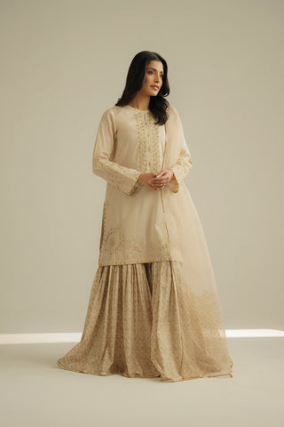 3 Piece Printed Lawn Embroidered Suit (CS0520)