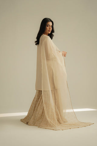 3 Piece Printed Lawn Embroidered Suit (CS0520)