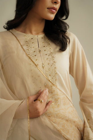 3 Piece Printed Lawn Embroidered Suit (CS0520)