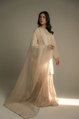 3 Piece Printed Lawn Embroidered Suit (CS0520)