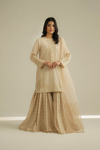 3 Piece Printed Lawn Embroidered Suit (CS0520)