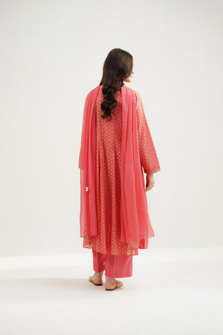 3 Piece Printed Lawn Embroidered Suit (CS0527)