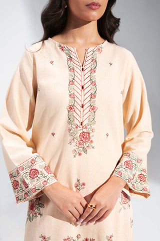 2 Piece Cotton Karandi Embroidered Suit (CS0732)