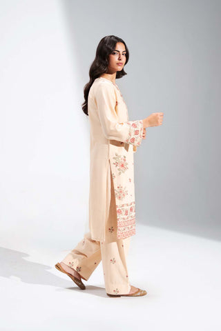 2 Piece Cotton Karandi Embroidered Suit (CS0732)