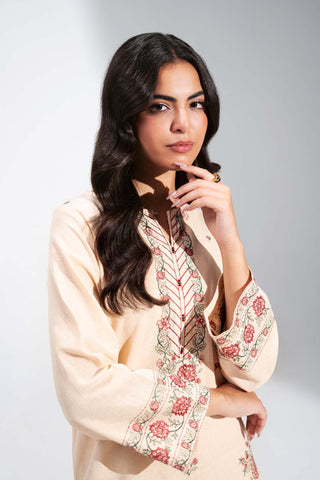 2 Piece Cotton Karandi Embroidered Suit (CS0732)