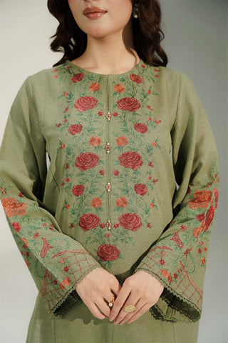 2 Piece Cotton Karandi Embroidered Suit (CS0742)