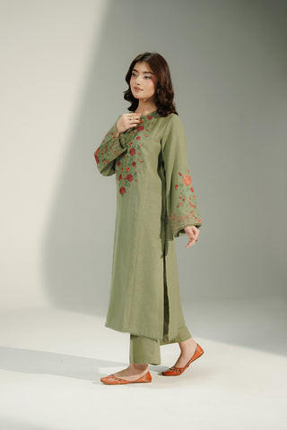 2 Piece Cotton Karandi Embroidered Suit (CS0742)