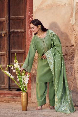 3 Piece Cotton Karandi Embroidered Suit (CS0747)