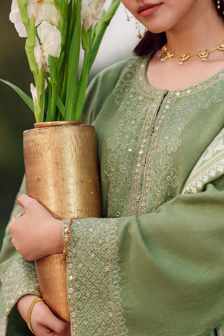 3 Piece Cotton Karandi Embroidered Suit (CS0747)