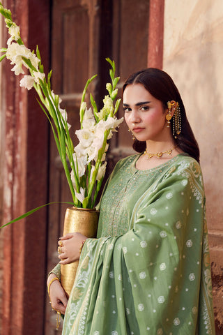 3 Piece Cotton Karandi Embroidered Suit (CS0747)