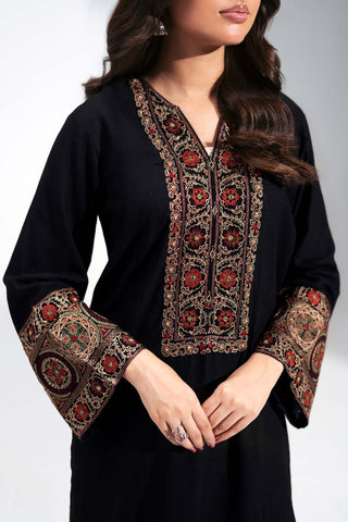 2 Piece Lawn Karandi Embroidered Suit (CS0769)