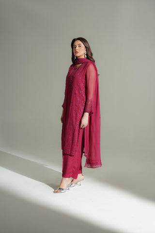3 Piece Chiffon Embroidered Suit (FL0189)