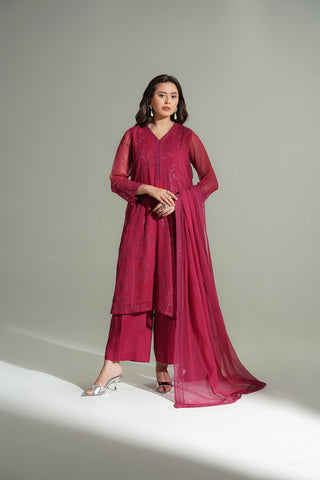 3 Piece Chiffon Embroidered Suit (FL0189)