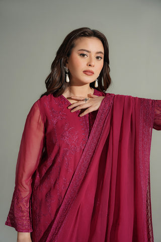 3 Piece Chiffon Embroidered Suit (FL0189)
