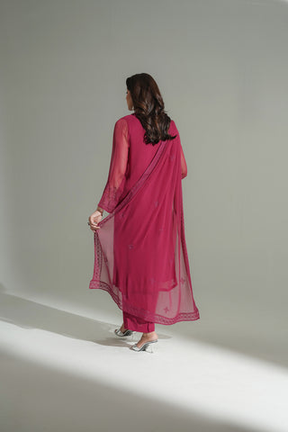 3 Piece Chiffon Embroidered Suit (FL0189)