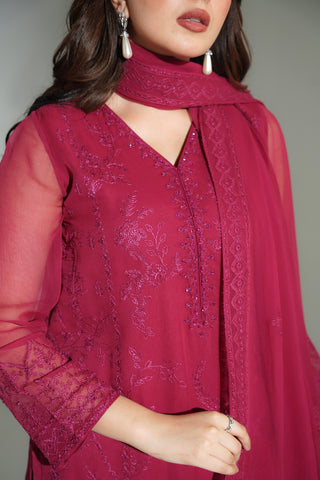 3 Piece Chiffon Embroidered Suit (FL0189)