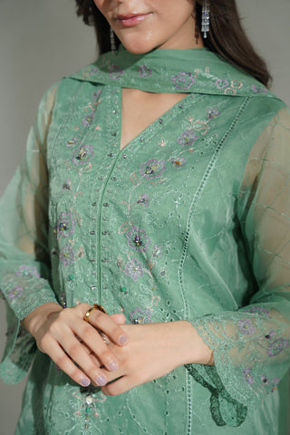 3 Piece Organza Embroidered Suit (FL0181)