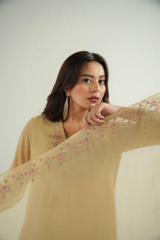 3 Piece Chiffon Embroidered Suit (FS0172)