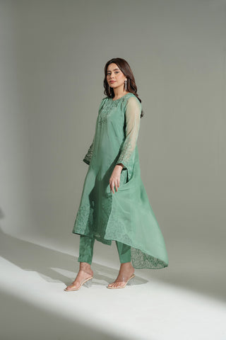 3 Piece Organza Embroidered Suit (FS0165)