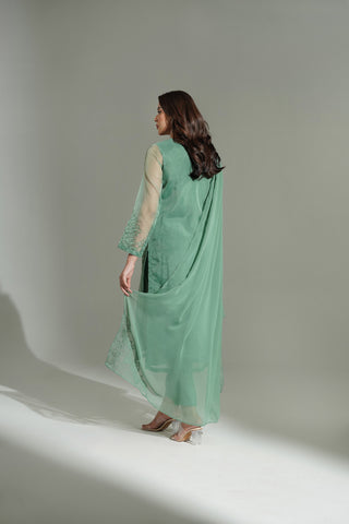 3 Piece Organza Embroidered Suit (FS0165)