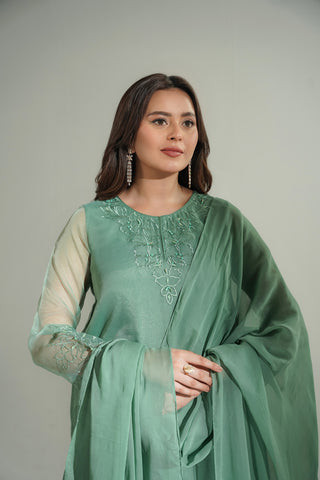 3 Piece Organza Embroidered Suit (FS0165)