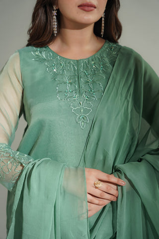 3 Piece Organza Embroidered Suit (FS0165)
