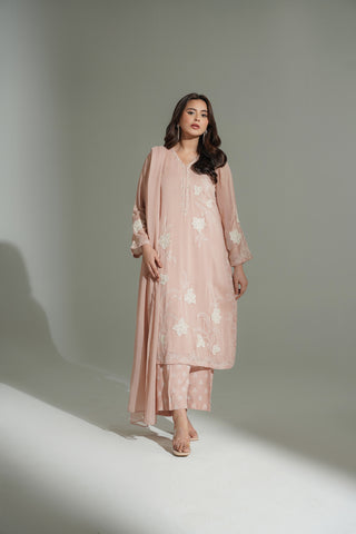 3 Piece Chiffon Embroidered Suit (FL0184)