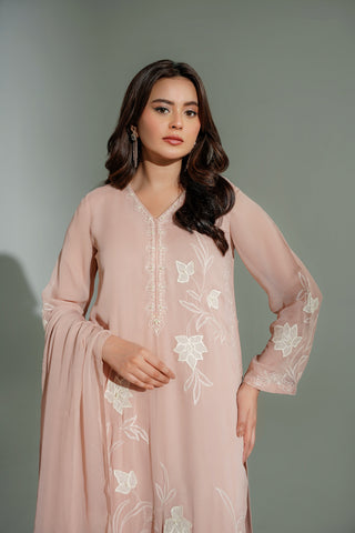3 Piece Chiffon Embroidered Suit (FL0184)