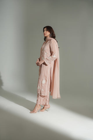 3 Piece Chiffon Embroidered Suit (FL0184)
