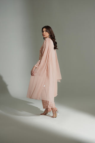 3 Piece Chiffon Embroidered Suit (FL0184)