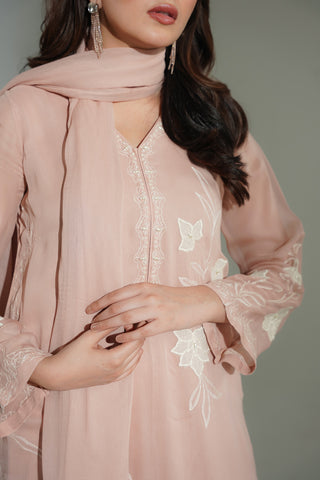 3 Piece Chiffon Embroidered Suit (FL0184)