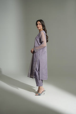 2 Piece Organza Embroidered Suit (FL0186)