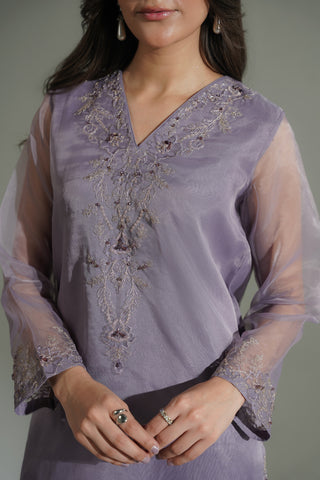 2 Piece Organza Embroidered Suit (FL0186)