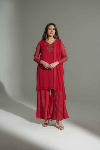 3 Piece Chiffon Embroidered Suit (FL0177)