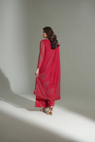 3 Piece Chiffon Embroidered Suit (FL0177)