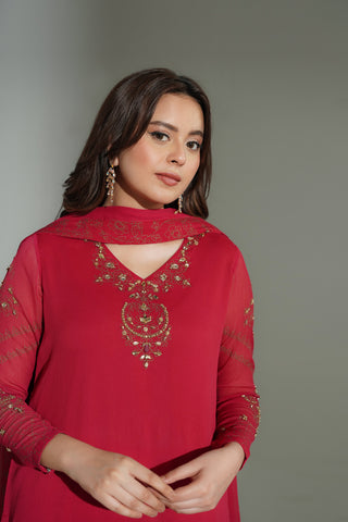 3 Piece Chiffon Embroidered Suit (FL0177)