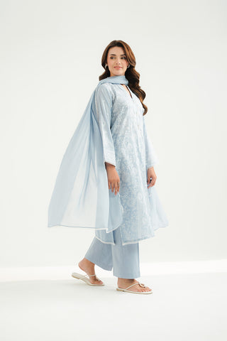 3 Piece Lawn Embroidered Suit (CS0519)