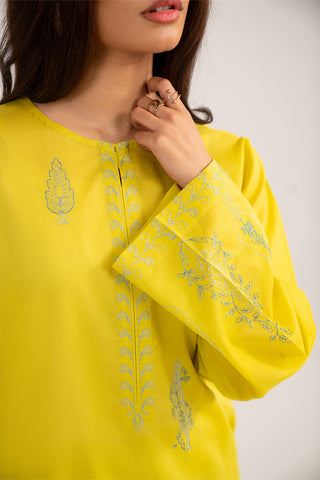 2 Piece Lawn Embroidered Suit (CP0372)