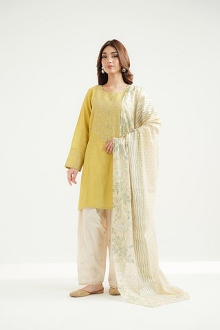 2 Piece Lawn Embroidered Suit (CS0517)