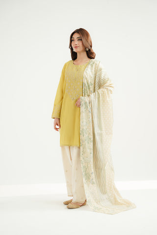 2 Piece Lawn Embroidered Suit (CS0517)